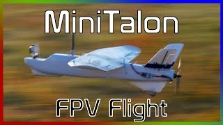 Летние FPV полеты  Mini Talon amp C1 Chaser amp Reptile S800 [upl. by Reisinger425]