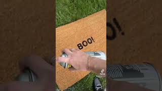 The Best Cheap Doormat DIY 🎨 [upl. by Naujyt45]