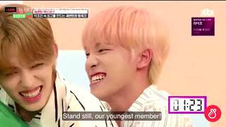 ENG SUB SEE HOW SEVENTEEN LOVE CARATS [upl. by Ellwood]