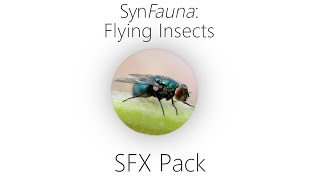 SynFauna Flying Insects  Sound Library Demo [upl. by Yelime369]