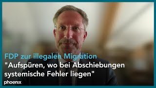 Arbeitsgruppe zur Migration Interview mit Stephan Thomae FDP  280824 [upl. by Johnnie]