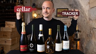 MASTER of WINE Rates Affordable CELLAR TRACKER Favorites [upl. by Pappas]