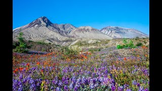 Mt St Helens  A Hike Into The Crater [upl. by Olcott21]