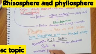 Rhizosphere and phyllosphere in Hindi and UrdumicrobiologyBacteriology botany [upl. by Idnek]