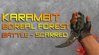 Karambit  Boreal Forest BS  Skin Showcase [upl. by Eadahs538]