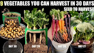 Top 9 Fast Growing Vegetables  SEED TO HARVEST IN 30 DAYS [upl. by Solegna]