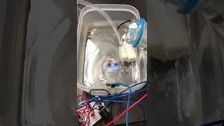 Auto Drainage amp Alert System without Arduino Demo No ARDUINO [upl. by Ecnedurp]