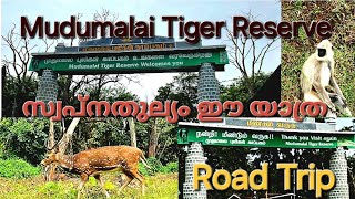 Mudumalai Tiger Reserve Road Trip Unplanned trip Part 2 [upl. by Enelyam]