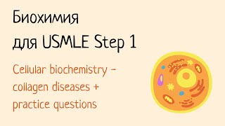 Биохимия для USMLE Step 1  Клеточная биология часть 2 [upl. by Jamesy221]