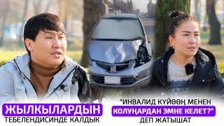 Жылкылардын ээси же айдоочубу ким күнөөлүү [upl. by Palila]