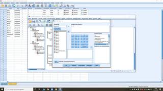 Reliabilität und Kriteriumsvalidität mit SPSS schätzen [upl. by Inalan]