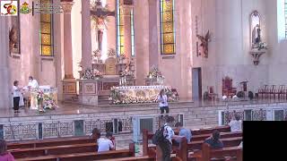 Mt Carmel Shrine Live Stream  Liturgical Services [upl. by Walcott]