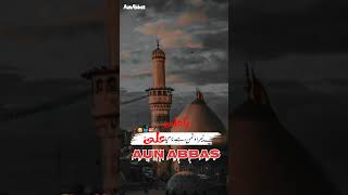 Ya Ali asTera dushman  یا علی تیرا دشمن  AunAbbas shorts [upl. by Baryram968]