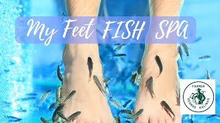 Ultimate Fish Spa for Relaxation and Renewal  Discover the Benefits of Garra Rufa Fish Pedicure [upl. by Osrock]