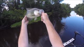 Crappie Fishing Louisiana [upl. by Rayham]