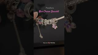 New Pandora charm bracelet unboxing charmbracelet pandora charms friendshipbracelet [upl. by Fionna215]