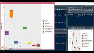 How to change Order of Items in Boxplot Legend  ggplot RStudio [upl. by Oderf]