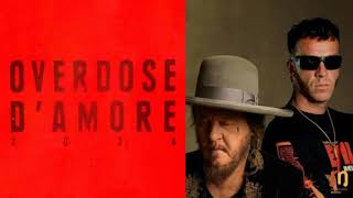 ZUCCHERO ft SALMO ❤️ OVERDOSE DAMORE 2024 Musica e Testo [upl. by Kelsy340]