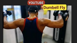 Standing Dumbell Fly  Shoulder Workout 💪Vlog [upl. by Magner975]