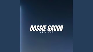 Bossie Gacor [upl. by Kassel376]