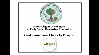 Introducing the Xanthomonas Threats Bacterial Plant Diseases Projectl [upl. by Ailimat285]