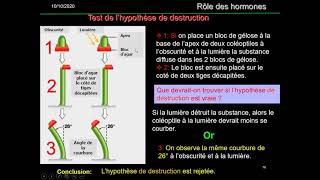 CROISSANCE ET DÉVELOPPEMENT DES PLANTES Chapitre 2 Croissance amp hormone 20 21 Vidéo MP4 [upl. by Sparkie210]