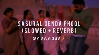 sasural genda phool l Slowed Reverb l Delhi06 l Abhishek Bachchan l Sonam Kapoor [upl. by Arual]