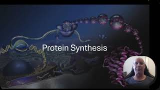 Protein synthesis [upl. by Alihs]