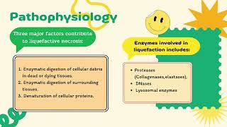 Coagulative vs Liquefactive necrosis [upl. by Ailecara]