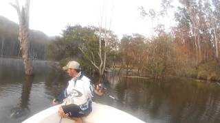 Toga Fishing At Borumba Dam [upl. by Dubois]