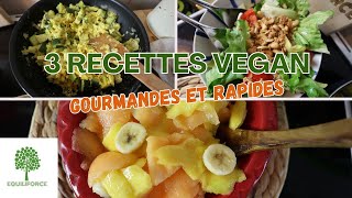 3 RECETTES VEGAN pour un REPAS RAPIDE et EQUILIBRÉ  LUNDI VERT n°293 [upl. by Glenda981]