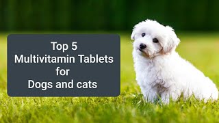 Top 5 cheapest and best quality multivitamin Tablets and syrup for dogs👍💊🐕 [upl. by Kohler]