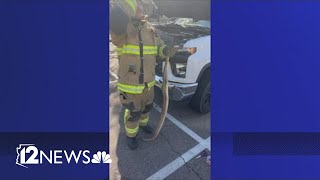 Boa constrictor slithers inside truck before extracted by Scottsdale firefighters [upl. by Petey]