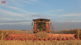 3000 Acre Corn Field Harvested by CASE IH 9250 Combines [upl. by Nassir]