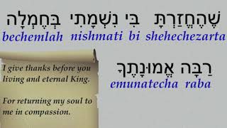 Modeh Ani Lefanecha  Morning Prayer Word For Word [upl. by Mandelbaum]