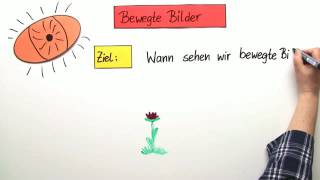 SEHVORGANG  WAHRNEHMUNG BEWEGTE BILDER  Biologie  Biologie des Menschen Mittelstufe [upl. by Korten]