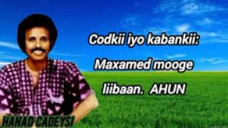 maxamed mooge abidkayba waan jiray [upl. by Yrelle]