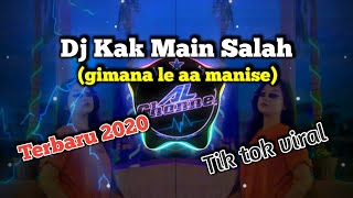 Dj Kaka main salah gimana le aa manise dj santuy  viral tik tok [upl. by Akeihsat770]