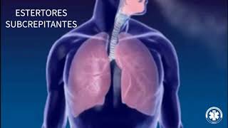 Semiologia Ausculta  Pulmonar ESTERTORES SUBCREPITANTES [upl. by Einaffyt]