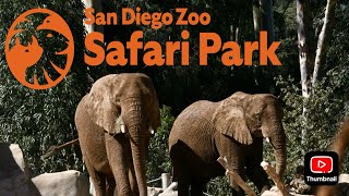 Safari Park Elephant Valley Update July 2024 [upl. by Washburn]