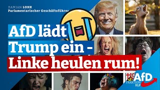 TrumpWahl belebt transatlantische Partnerschaft Damian Lohr [upl. by Isaacs161]