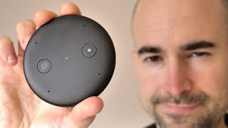 Amazon Echo Input  Add Alexa to any speaker [upl. by Kreg]