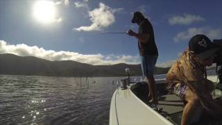 MAFSA 2016 World Sooty Grunter Fishing Championships at Eungella Dam [upl. by Selena]