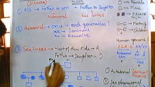 3 Pedigree analysis  autosomal dominant [upl. by Gascony]