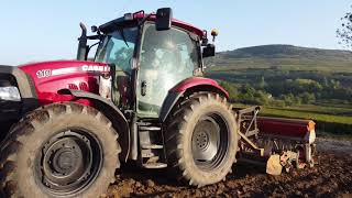 Semis de couvert végétaux avec le case maxxum 110 [upl. by Ahsym]