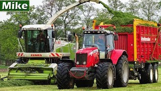 2019  Gras hakselen  Massey Ferguson 6490  6497  Claas Jaguar 870  Nikkels  Klarenbeek  NL [upl. by Monahan255]