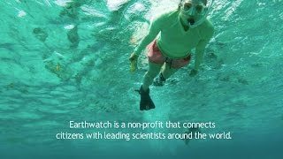 What is Earthwatch [upl. by Ernesta]