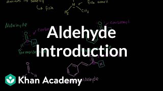 Aldehyde introduction  Aldehydes and ketones  Organic chemistry  Khan Academy [upl. by Elletse]