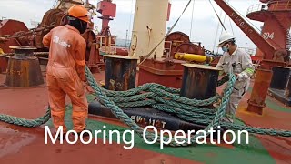 mooring operation docking procedure [upl. by Harmony530]