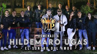 Hildemaro Mix  VIP Orquesta [upl. by Milson]